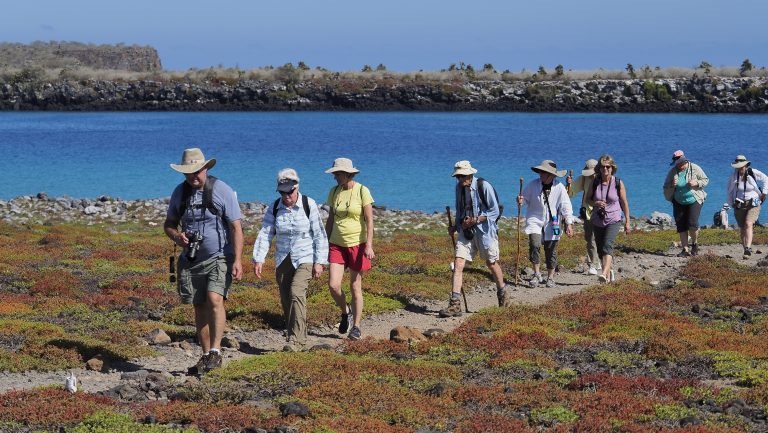 Things to do in Galapagos Islands