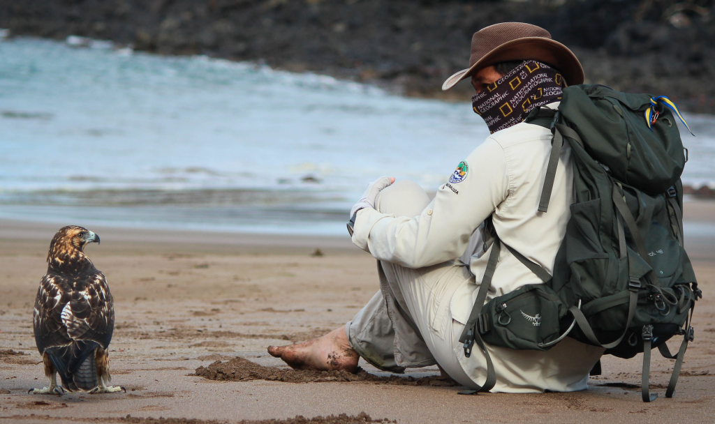 Galapagos Things to do