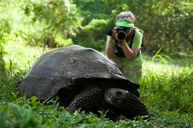 Things to do in Galapagos