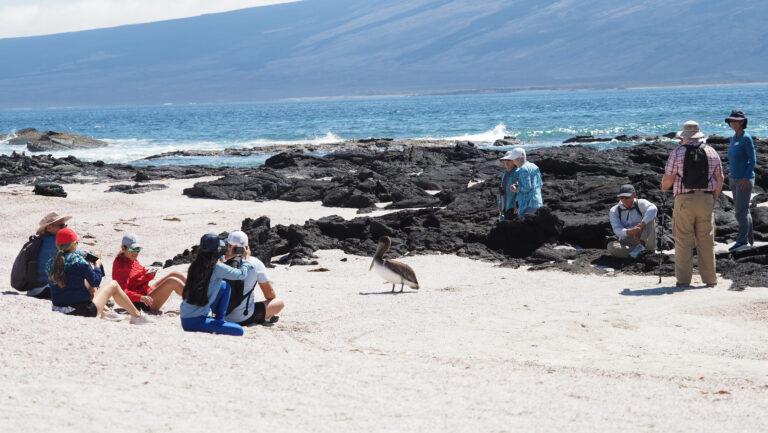 when is the best time to visit galapagos
