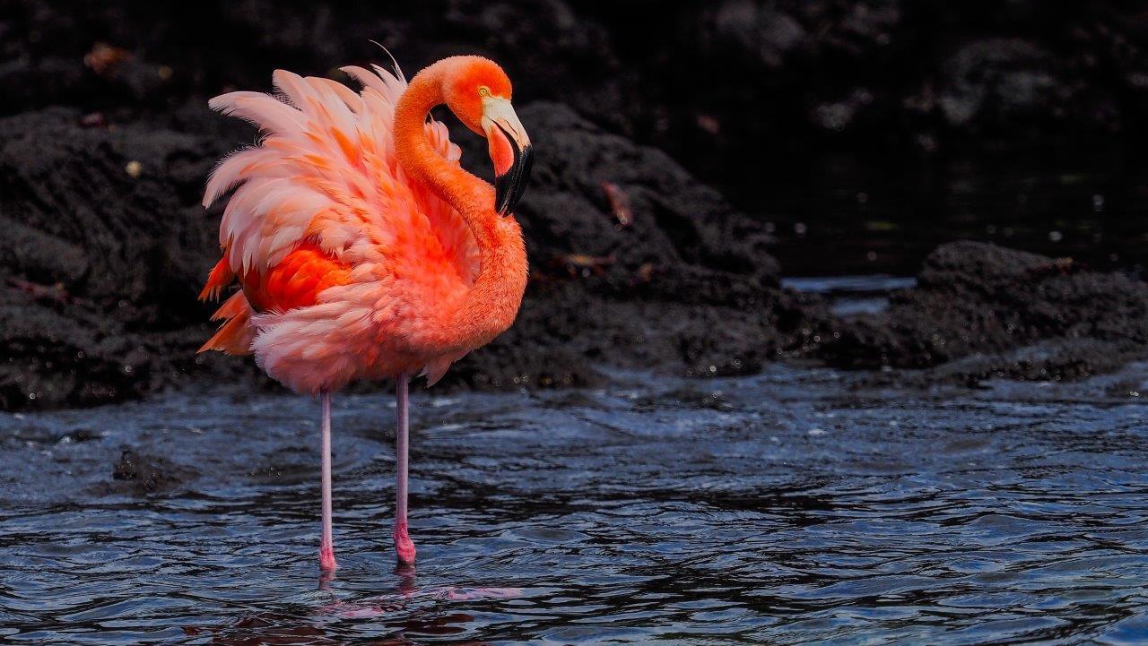 Casa Marina 5-star hospitality Galapagos